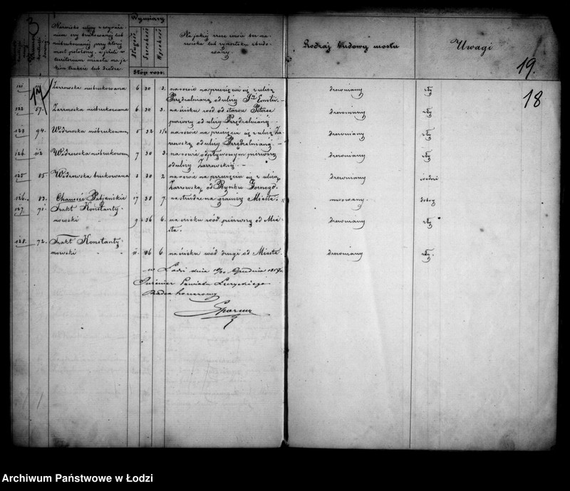 Obraz 16 z jednostki "Operat tyczący się budowy nowych i reparacji starych mostów w mieście Łodzi"