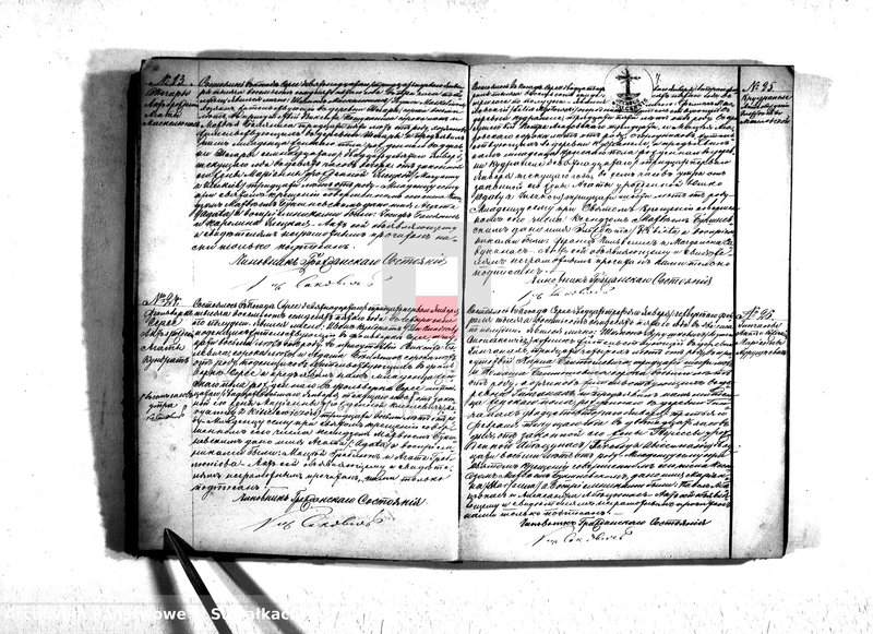 Obraz 9 z jednostki "Duplikat serejskago prichoda na 1875 god"
