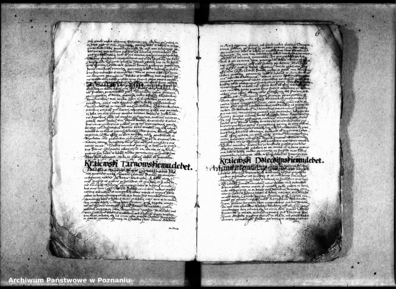 Obraz 8 z jednostki "Inscriptiones [inducta]"