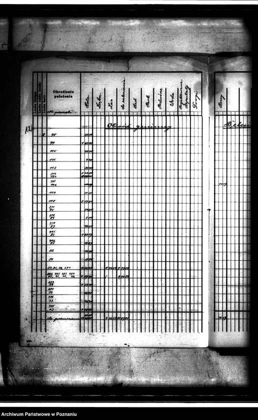 image.from.unit.number "/Rejestry pomiarowe i rejestry powierzchni majątku Bolęcin-Karna powiatu wolsztyńskiego"