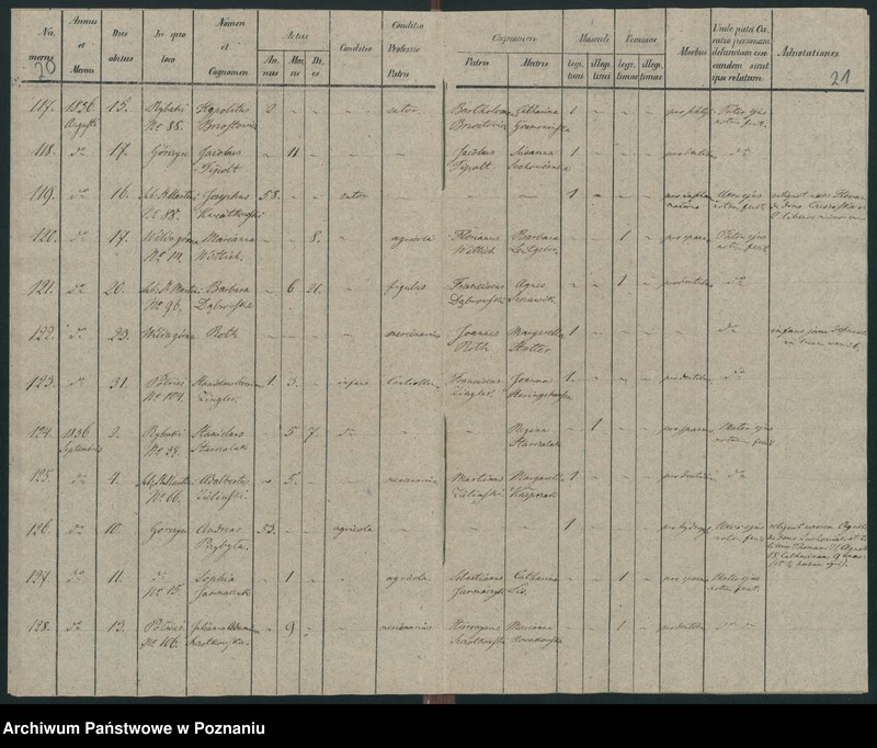 Obraz 13 z jednostki "Księga zgonów"