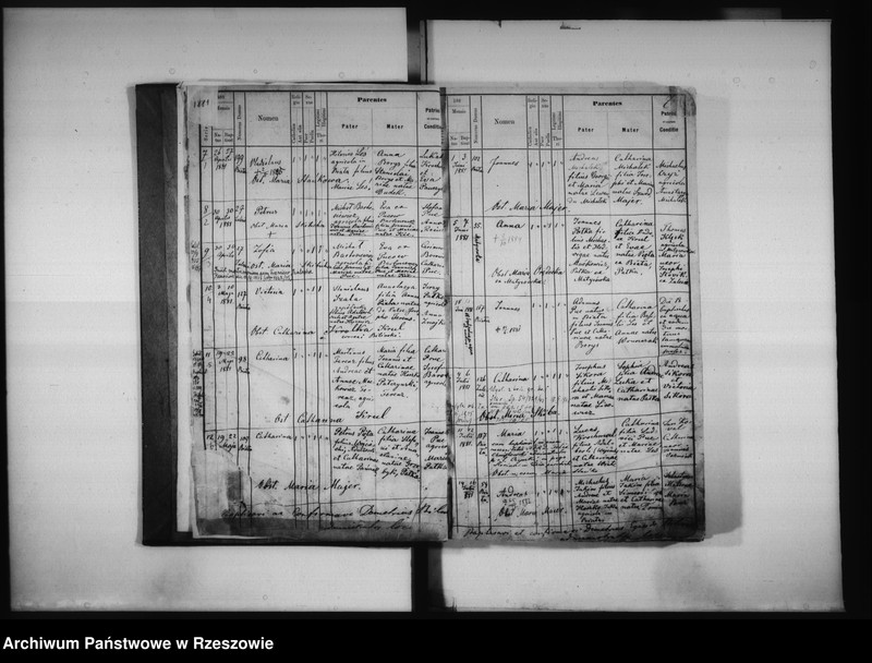 image.from.unit.number "Księga urodzeń Biała, Matysówka, Zalesie Drabinianka, Rzeszów, Tyczyn"