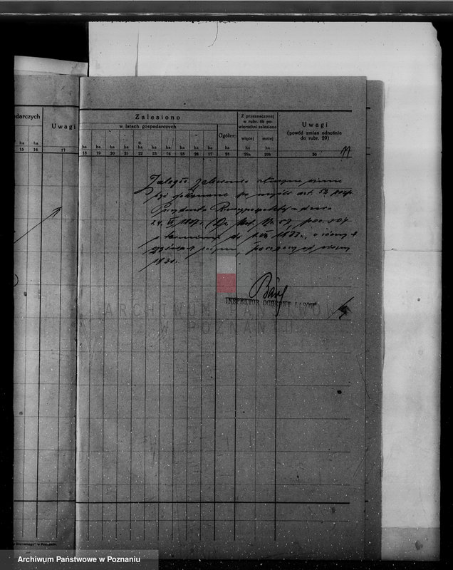 Obraz 15 z jednostki "/Nadzór nad gospodarką leśną w majętności Hutka w powiecie czarnkowskim"