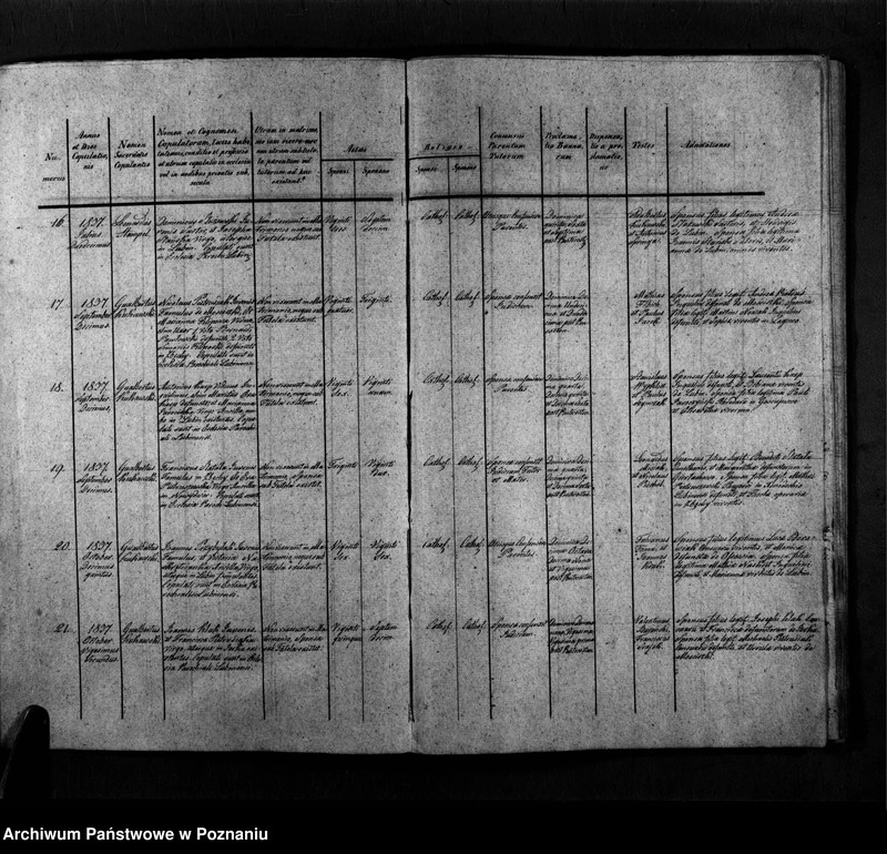 Obraz 6 z jednostki "Duplicatum copulatorum, baptisatorum, mortuorum"