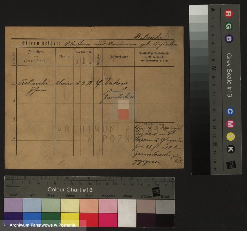 Obraz 5 z jednostki "Skrzypkowiak - Skórnik"