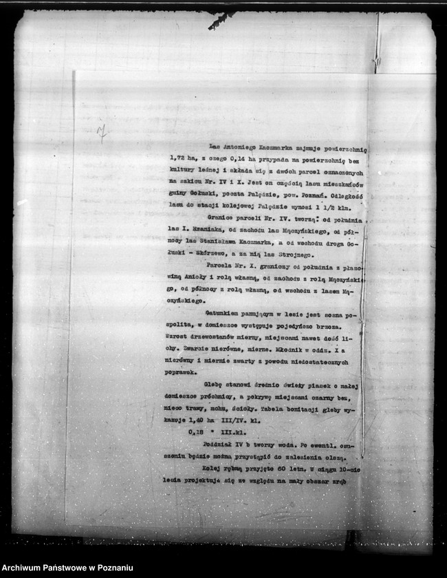 Obraz 10 z jednostki "Program urządzenia gospodarstwa leśnego lasu St. A i M Kaczmarków w gminie Gołuski powiat poznański 1930-1940"