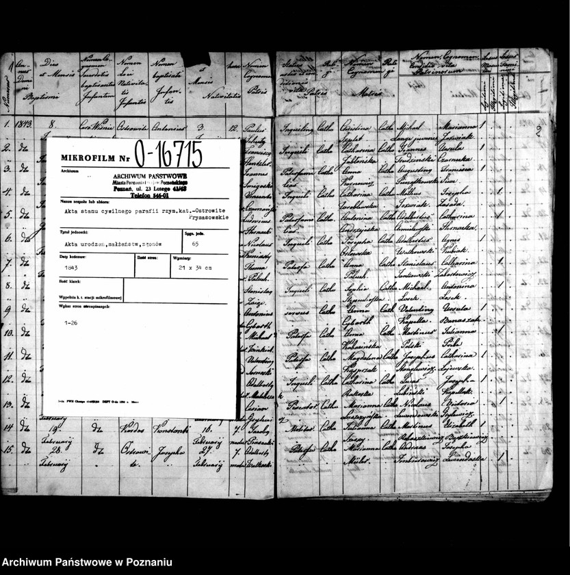 image.from.unit.number "Duplicatus baptisatorum, copulatorum, mortuorum"