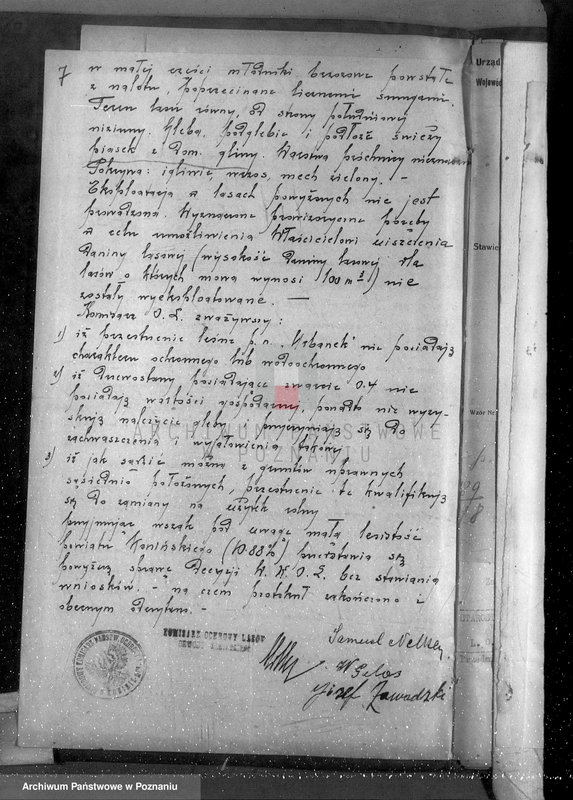 Obraz 11 z jednostki "Gmina Rzgów powiat koniński /nadzór nad gospodarką leśną/"