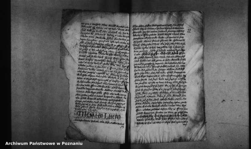 Obraz 5 z jednostki "Decreta officii [inducta]"