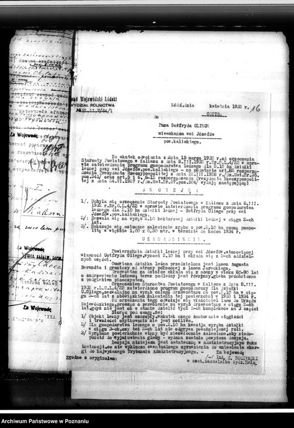 Obraz 20 z jednostki "Gmina Chocz w powiecie kaliskim /nadzór nad gospodarką leśną/"