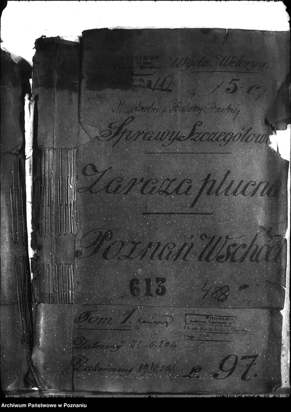 Obraz 4 z jednostki "Zaraza płucna - Poznań-Wschód"