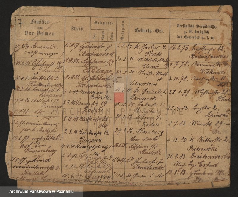 Obraz 9 z jednostki "Gaab - Gaciorkowski"