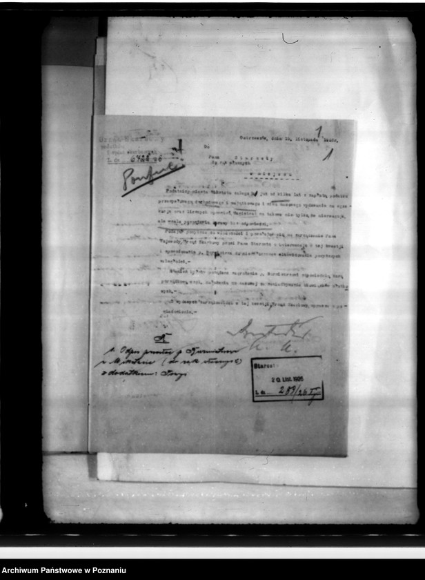 Obraz 5 z jednostki "Różności miasta Mikstatu"