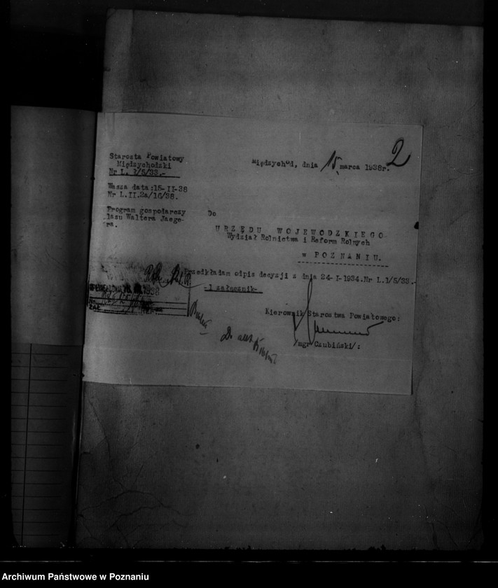 Obraz 6 z jednostki "Las majętności Zatom Nowy własność Waltera Jaegera powiat międzychodzki"