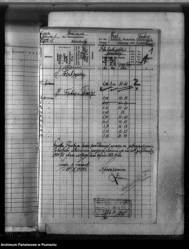 Obraz 5 z jednostki "Majętność leśna Linie w powiecie nowotomyskim"
