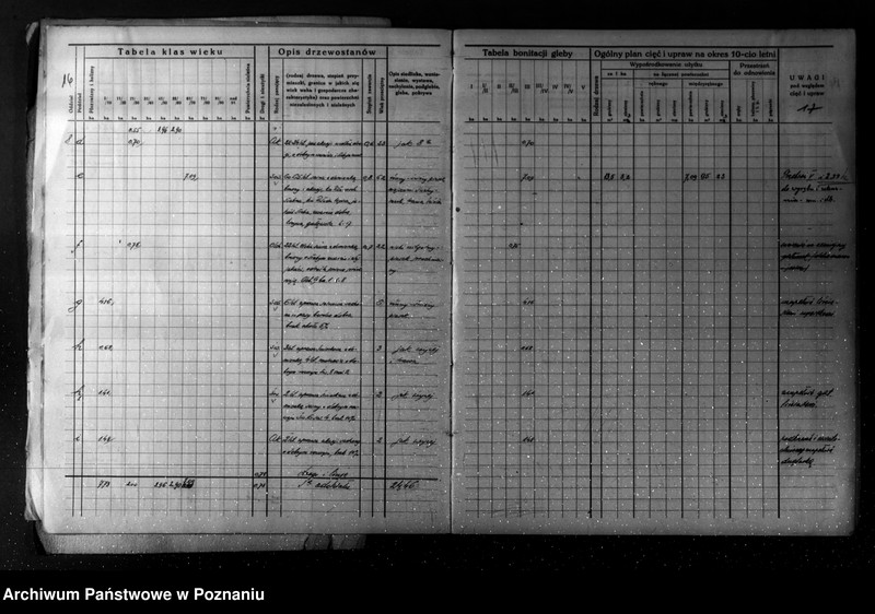 Obraz 13 z jednostki "/Plan urządzania gospodarstwa leśnego dla lasu majątku Turew powiatu kościańskiego 1933-1943/"