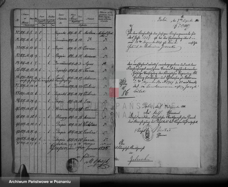 Obraz 10 z jednostki "Duplikat baptisatorum, copulatorum, mortuorum"