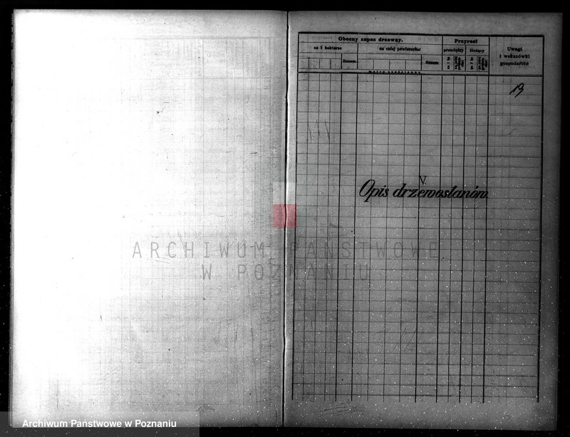 Obraz 17 z jednostki "Plan gospodarczy lasów Wydziału Wielichowo Teresy ks. Lubomirskiej na dziesięciolecie 1935/36-1944/45"