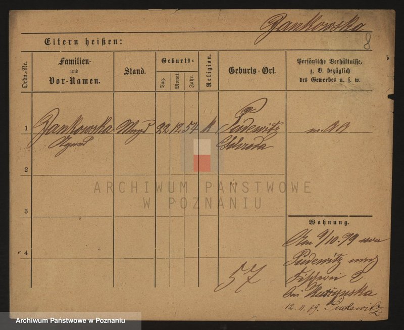 Obraz 8 z jednostki "Jankowski (samotne kobiety)"