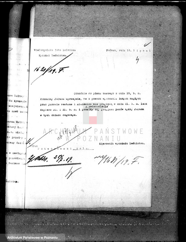 Obraz 7 z jednostki "Majętność leśna Gola w powiecie gostyńskim"