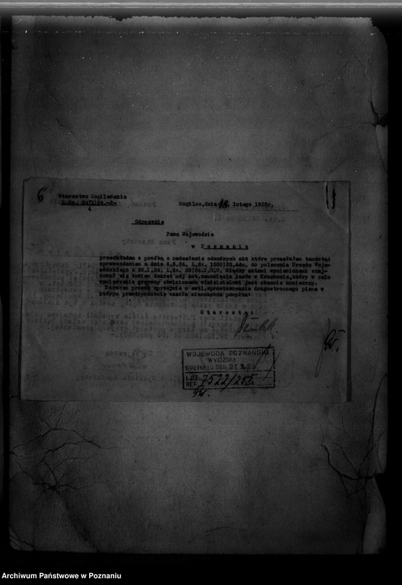 Obraz 10 z jednostki "/Majętność leśna Ruchowo powiat mogileński/"