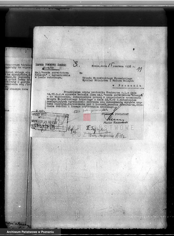 Obraz 15 z jednostki "Majątek Staremiasto powiat koniński /nadzór nad gospodarką leśną/"