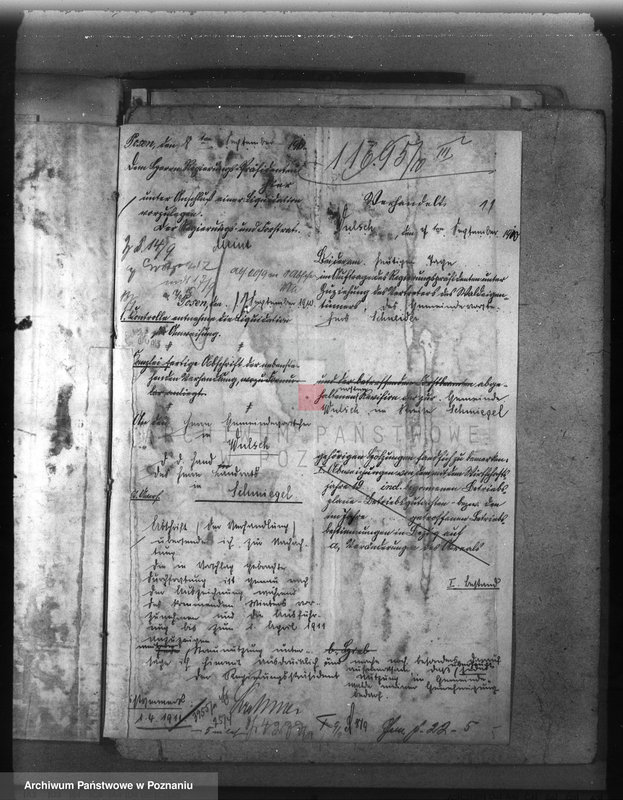 Obraz 15 z jednostki "Las gminy Olszewo powiat ostrowski"