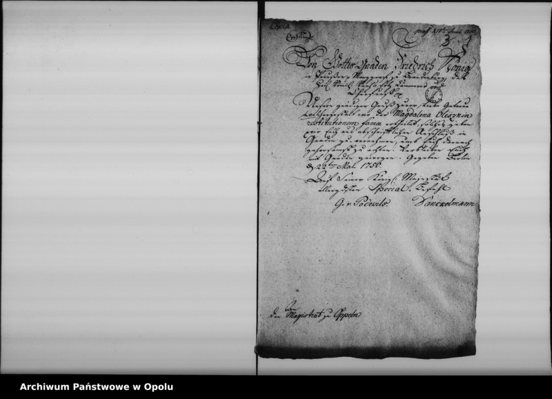 Obraz 5 z jednostki "Acta die Decreta Legitimationis natalium bei Zünften betreffend 1750-1795"