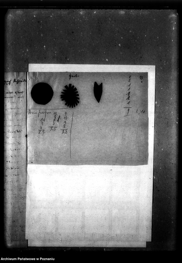 Obraz 17 z jednostki "Dem Lebensborn noch vorzuschlagen [Wyniki badań psychologicznych dzieci przewidzianych do przekazania organizacji "Lebensborn"]."