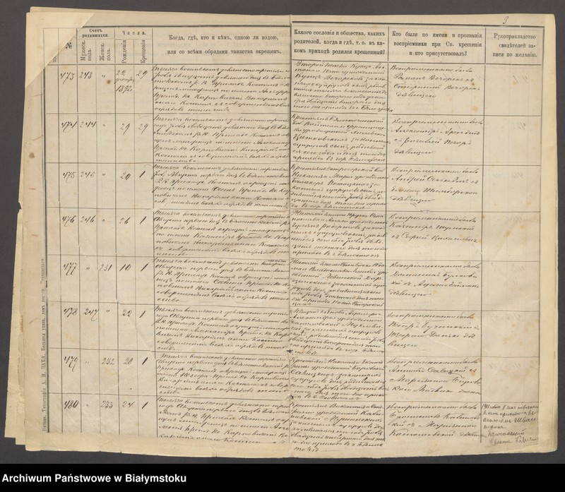 Obraz 6 z jednostki "[Akta urodzeń za lata 1893-1895]"