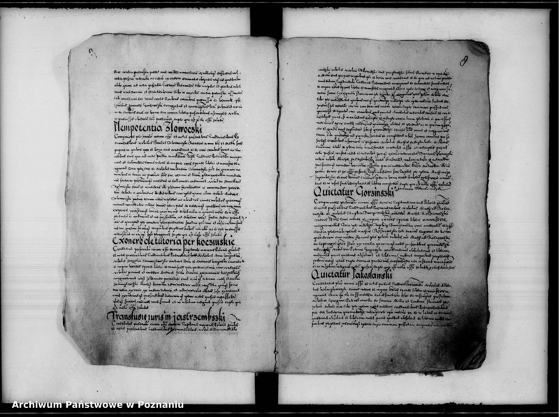 Obraz 13 z jednostki "Inscriptiones, relationes [inducta]"