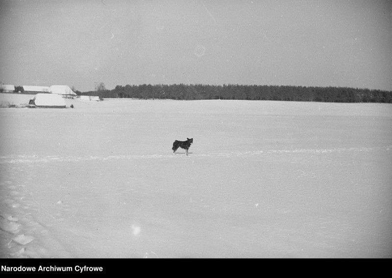 image.from.unit.number "Niemenczyn"