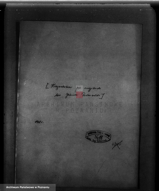 Obraz 4 z jednostki "Krzywekolano powiat mogileński /las Juliuszy Rodenwalda/"