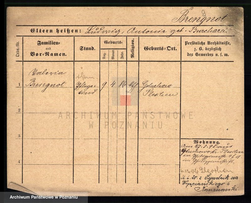 Obraz 11 z jednostki "Brengel - Bręczarska"