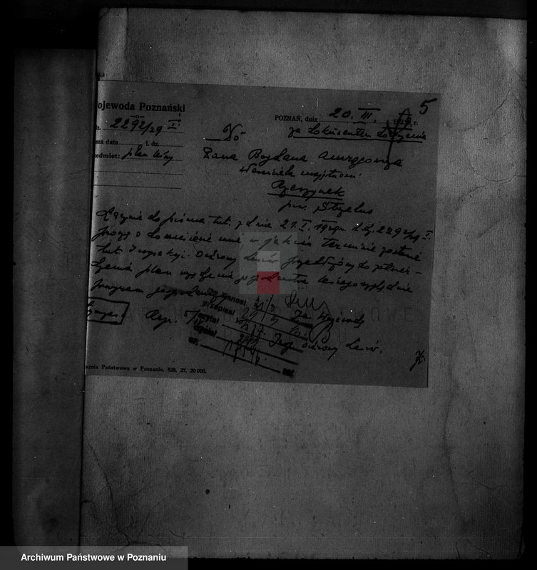 Obraz 10 z jednostki "/Majętność leśna Rzeszynek powiat mogileński"