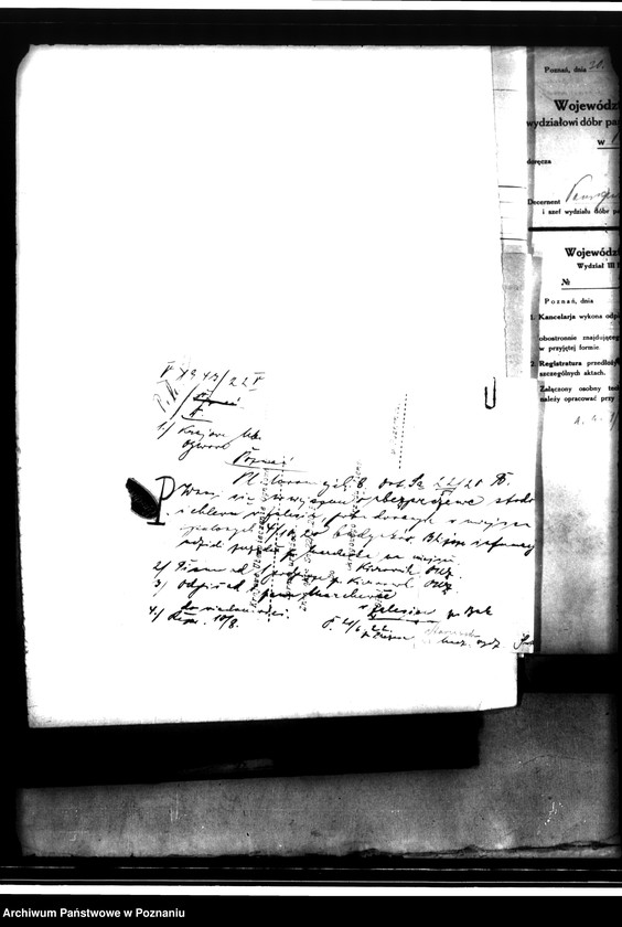 Obraz 8 z jednostki "Rewizje majątku państwowego Zalesie"