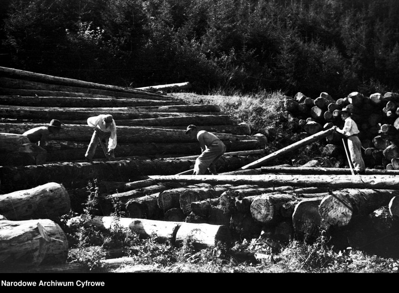 image.from.unit.number "Tartak w Skolem"