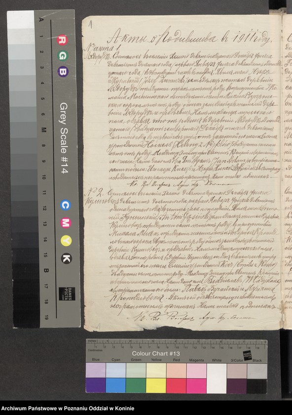 Obraz 8 z jednostki "Duplikat aktów urodzenia, małżeństwa i zgonu parafii rzymsko-katolickiej Chełmno na rok 1911"