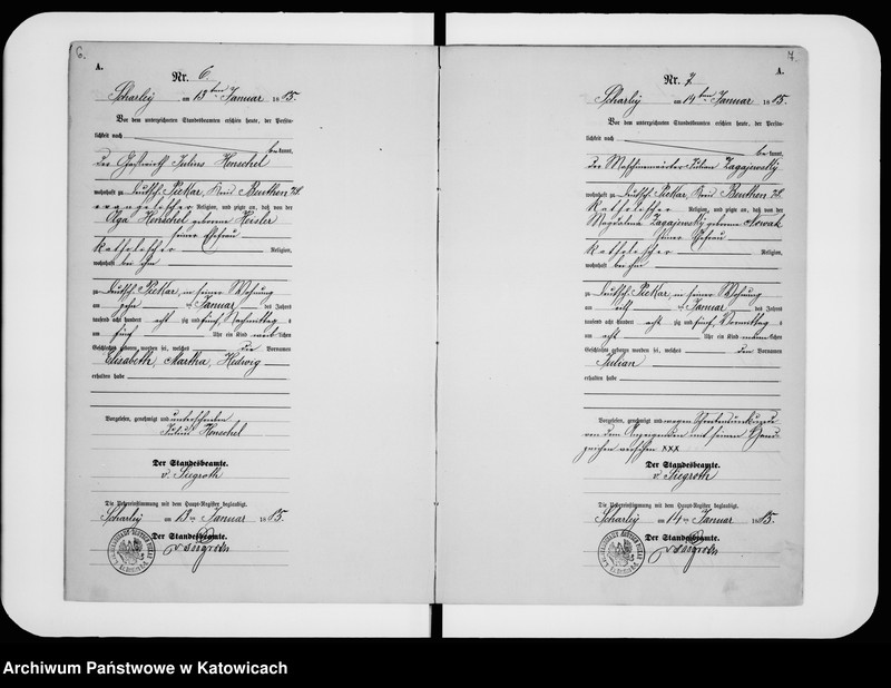 image.from.unit.number "Księga urodzeń nr 1-196"