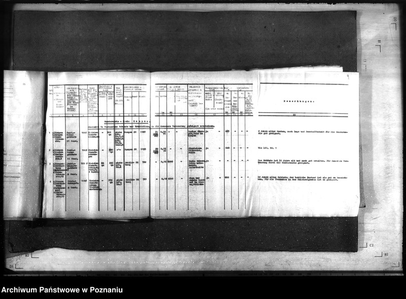 Obraz 13 z jednostki "Wykaz gruntów i obiektów należących do żandarmerii w rejencji łódzkiej"