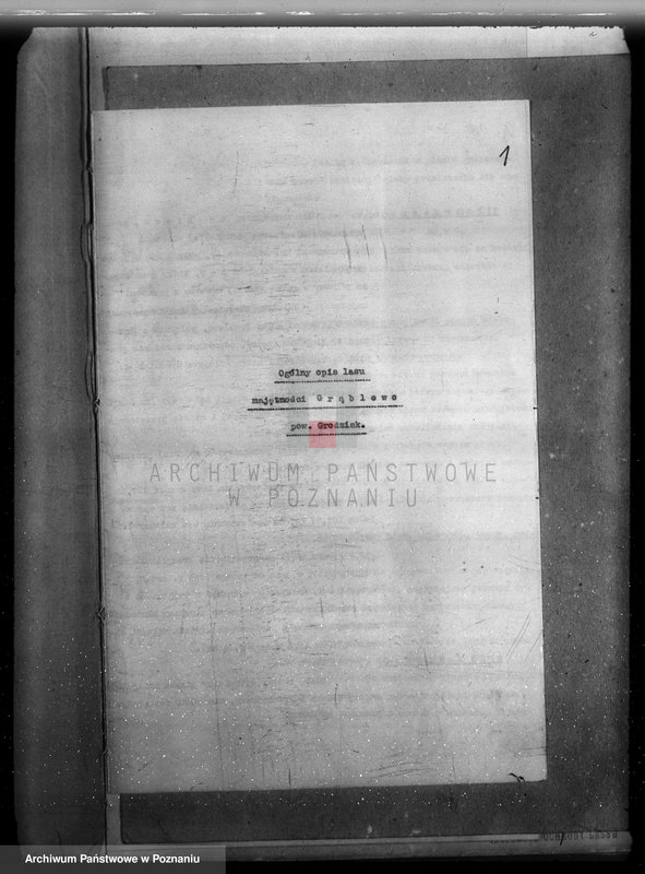 Obraz 5 z jednostki "Plan urządzenia gospodarstwa leśnego dla lasu majętności Grąblewo w powiecie nowotomyskim"