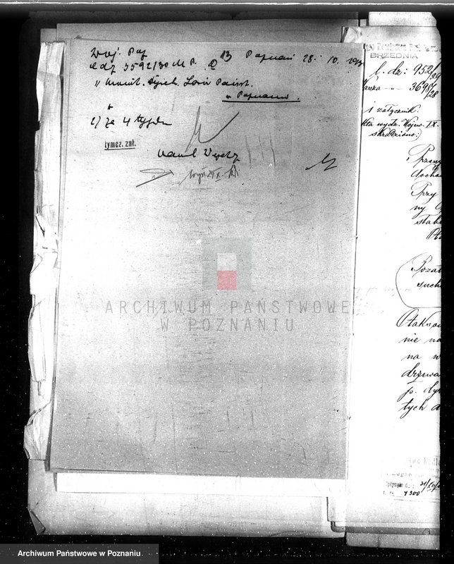 image.from.unit.number "Las majętności Nochowo w powiecie śremskim"