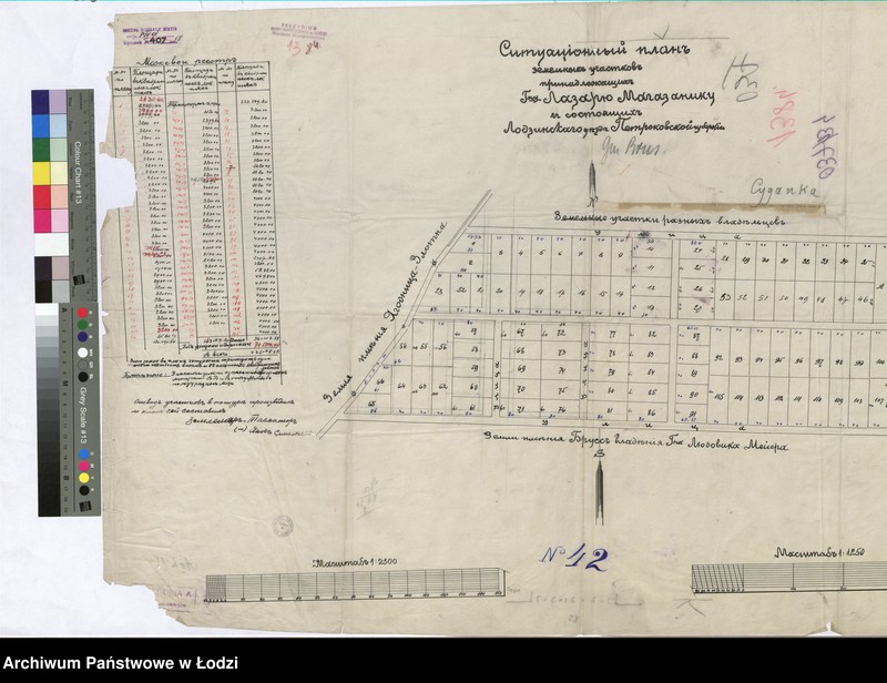 Obraz 1 z jednostki "Ситуацiонный планъ земельныхъ участковъ принадлежащихъ Господину Лазарю Магазанику и состоящихъ Лодзинскаго уѣзда Петроковской губернiи"