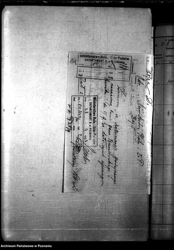 Obraz 18 z jednostki "Nosacizna - Chojnice"