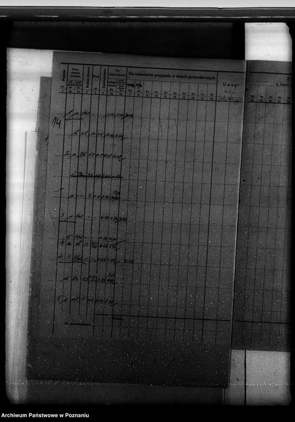 Obraz 18 z jednostki "Program urządzenia gospodarstwa leśnego dla lasu majętności Kobylepole powiat poznański 1929-1939"
