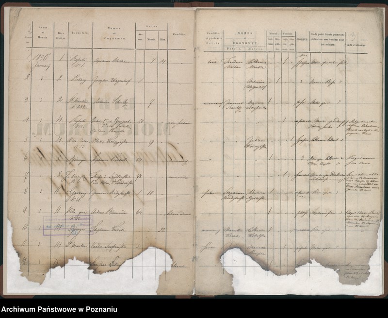 Obraz 4 z jednostki "Księga zgonów"