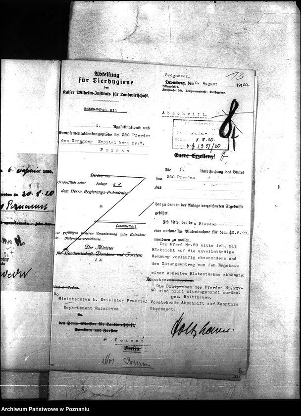 Obraz 17 z jednostki "Nosacizna - Poznań Miasto"