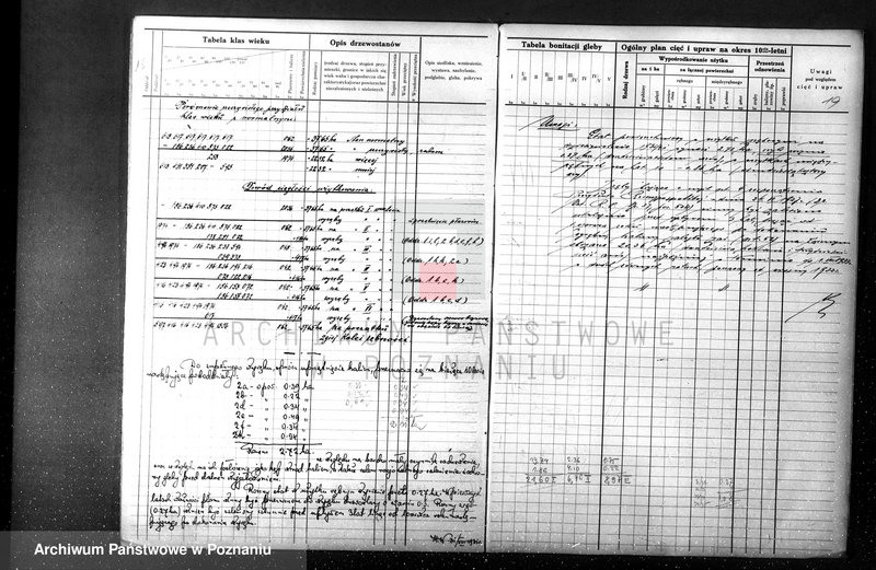 Obraz 18 z jednostki "majętności Sławno czarnkowskim"