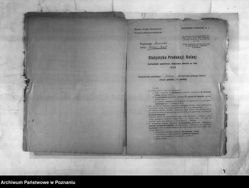 Obraz 11 z jednostki "/Statystyka produkcji rolnej - zestawienie powiatowe z terenu Gniezna/"