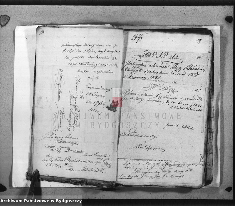 image.from.team "Akta metrykalne parafii rzymskokatolickiej w Dąbrówce Nowej, pow. Bydgoszcz"